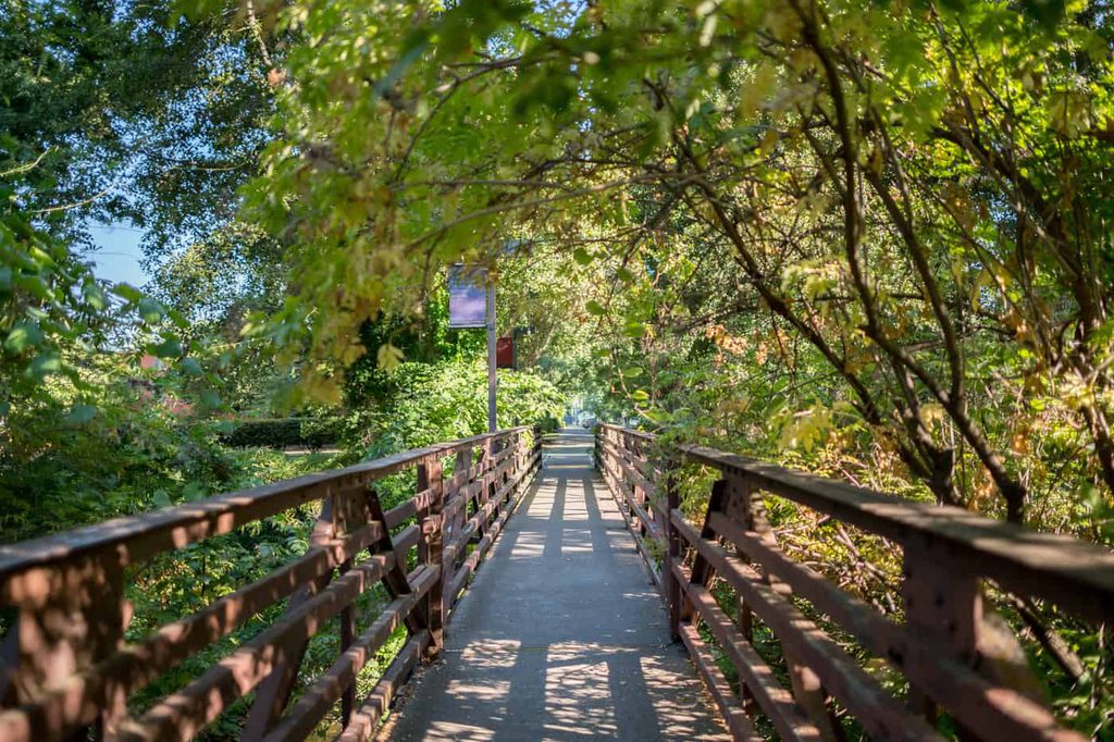 Chico State Spring Things to Do at Chico State | Campus Landmarks &… | Travel Chico