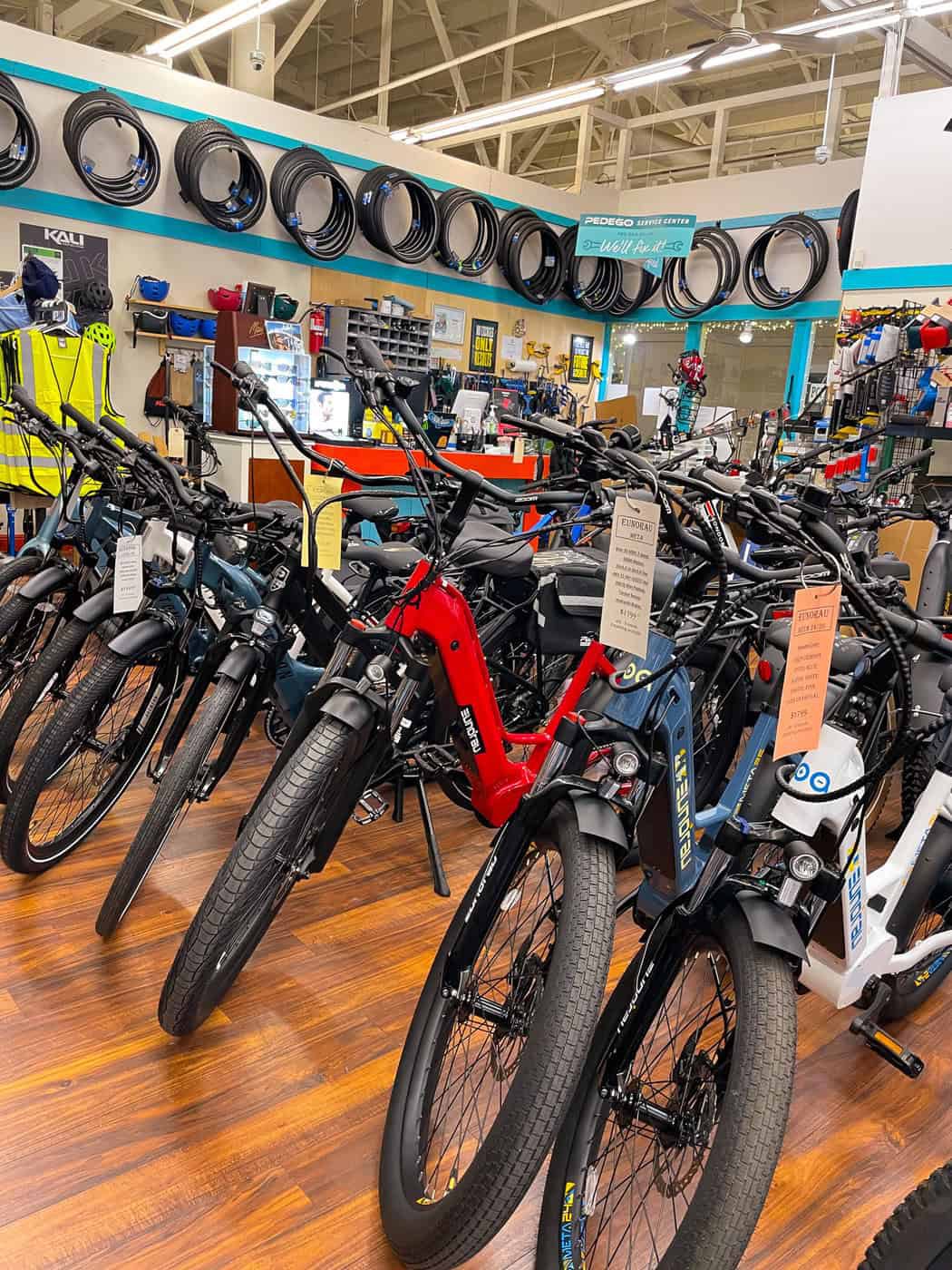Travel Chico | All Electric Motion Travel Chico | All Electric Motion